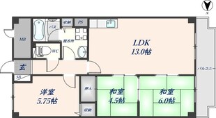 グランドール鳥居の物件間取画像